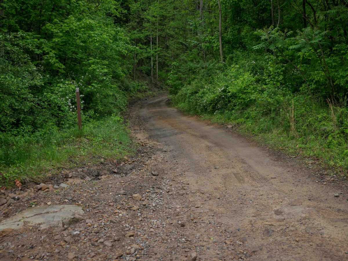 BM 22 trail photo
