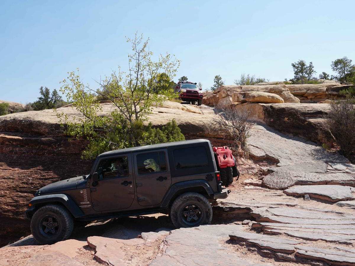 Elephant Hill trail photo
