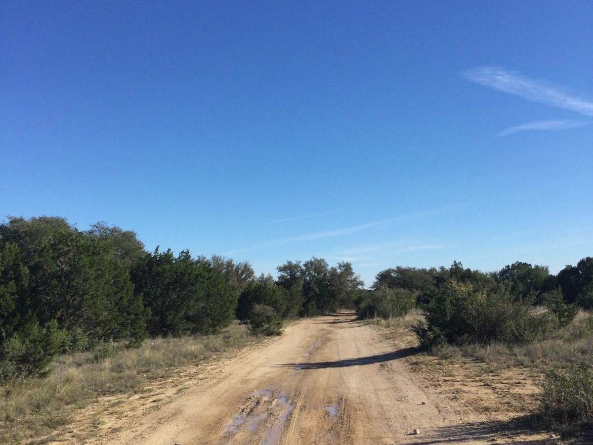 Hog Alley photo 3