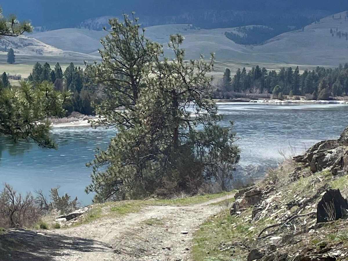 Ferry Basin Lookout Tower FB-3000 photo 3