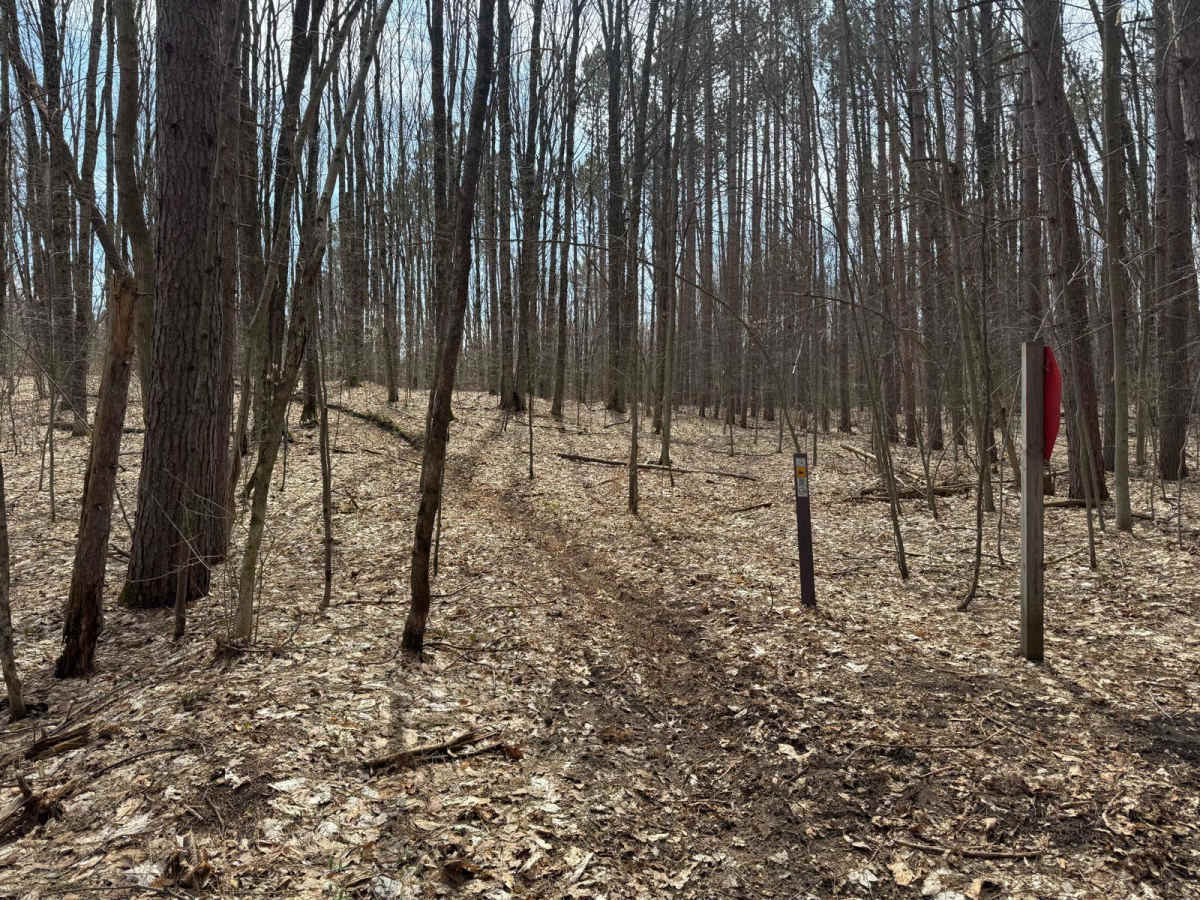 MCCCT - Lincoln Hills to Caberfae Spur trail photo