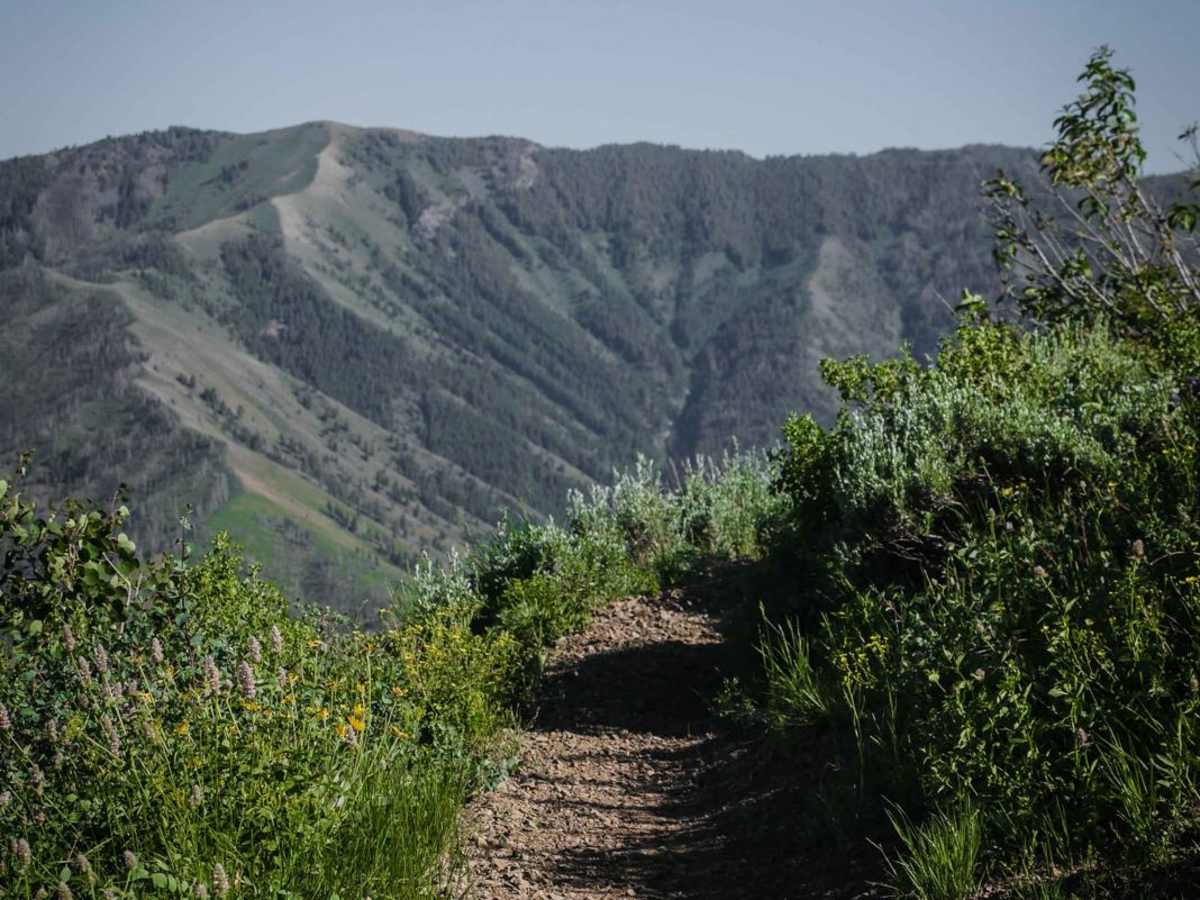 Howard's Trail trail photo