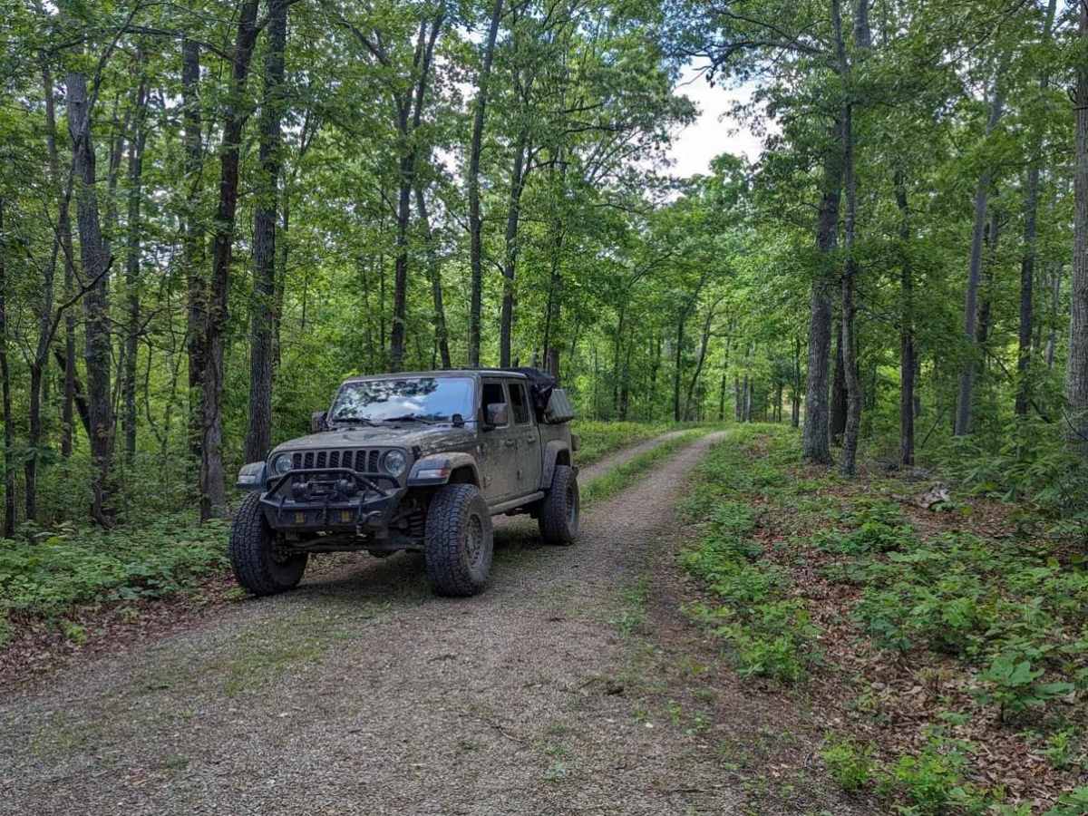 FSR 3136- Brown's Ridge photo 4
