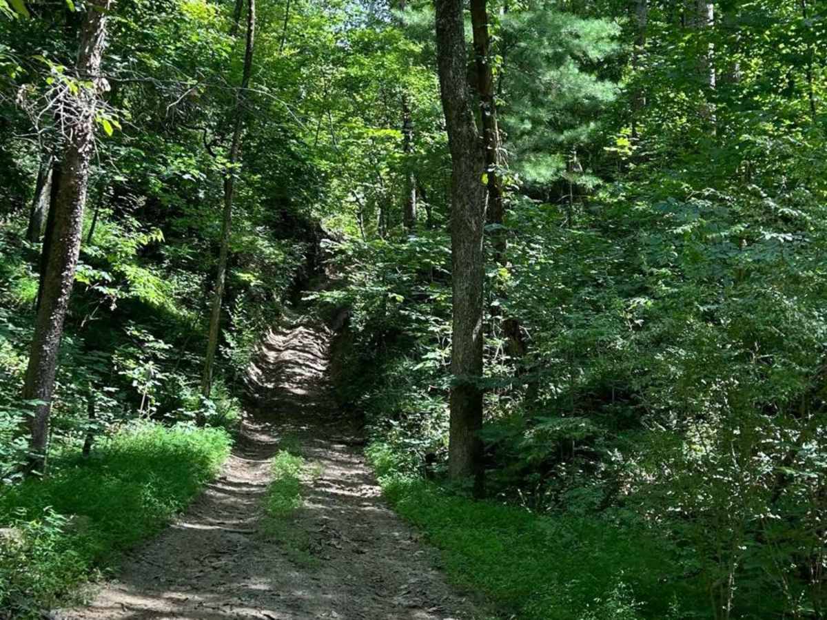 Trail 2X photo 6
