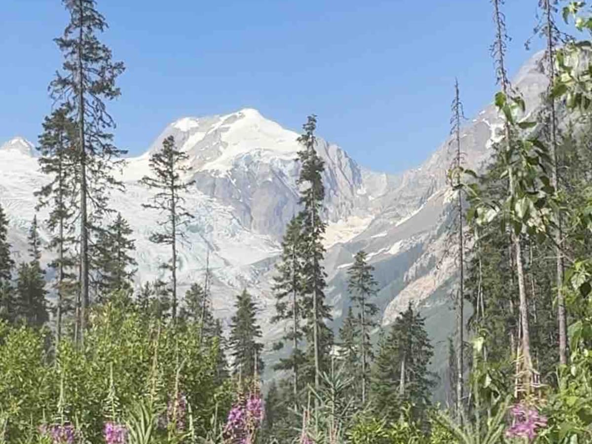 Farnham Glacier photo 6