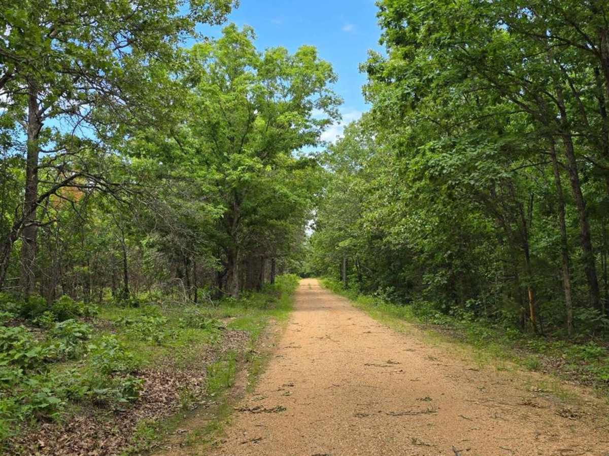 Schott - FS 1516 trail photo