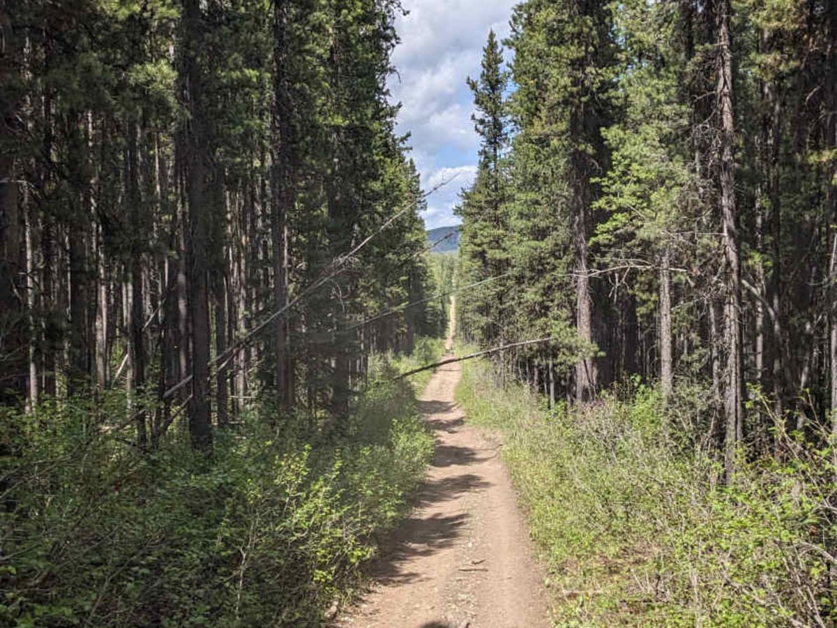 Allison creek Trail photo 2
