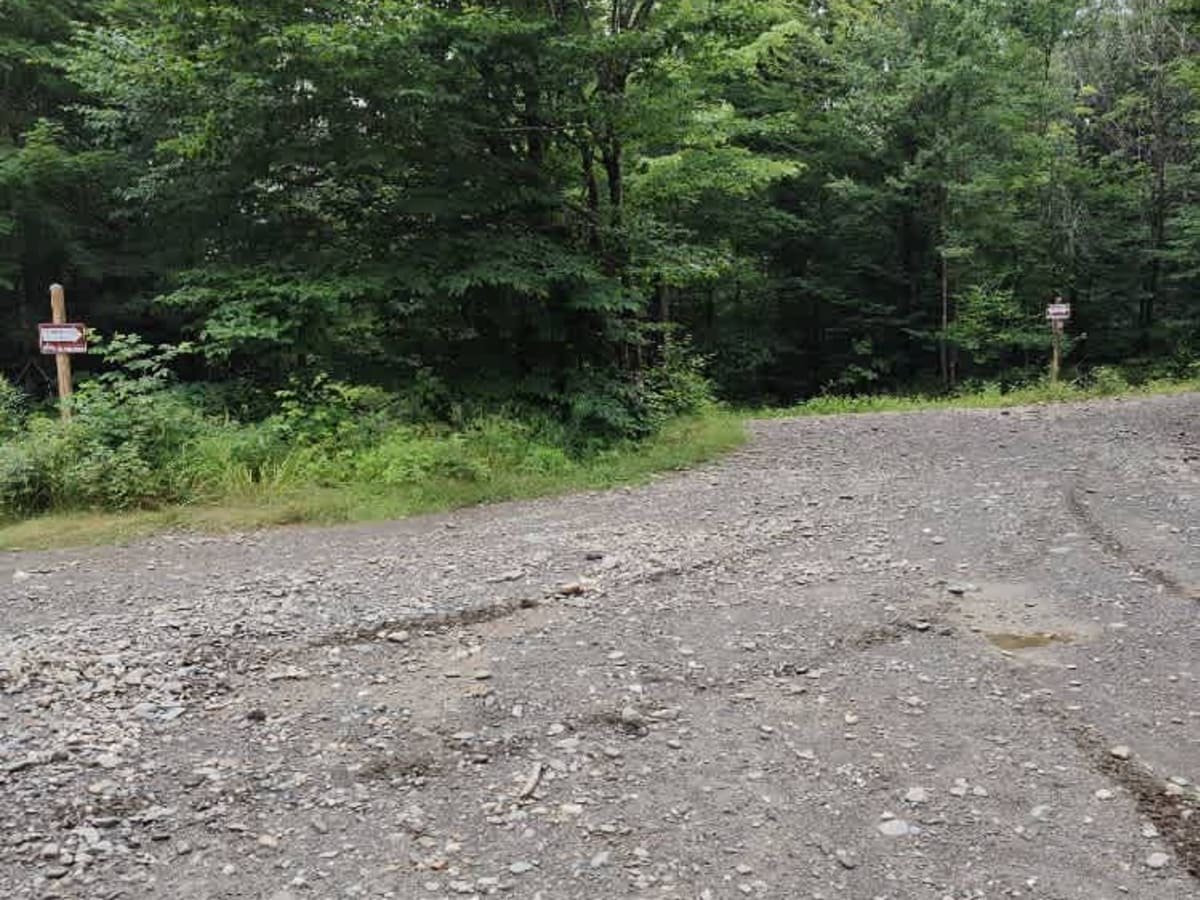 White Wolf Trail photo 2