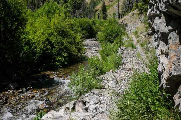 Deer Creek
