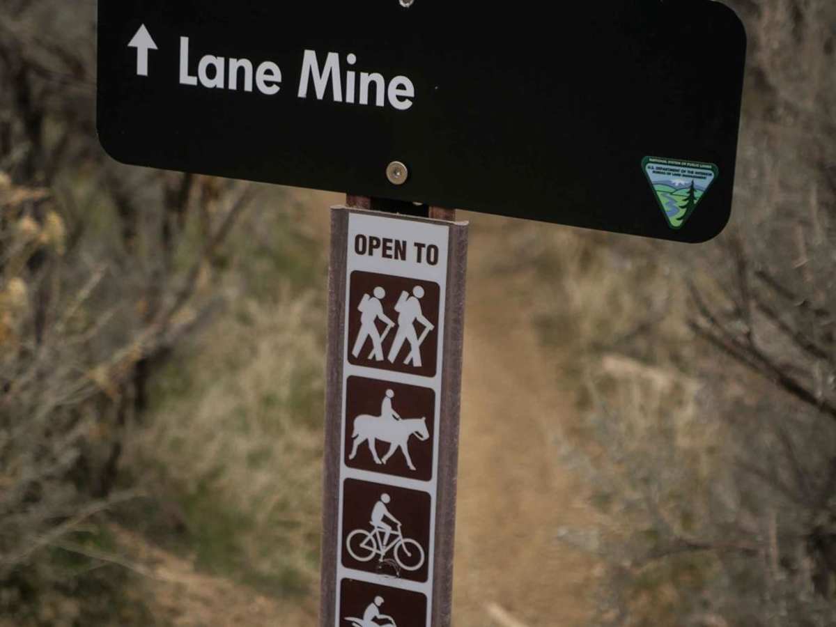 Lane Mine photo 2