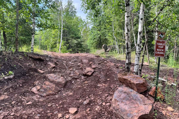 Table Top Rock Crawl