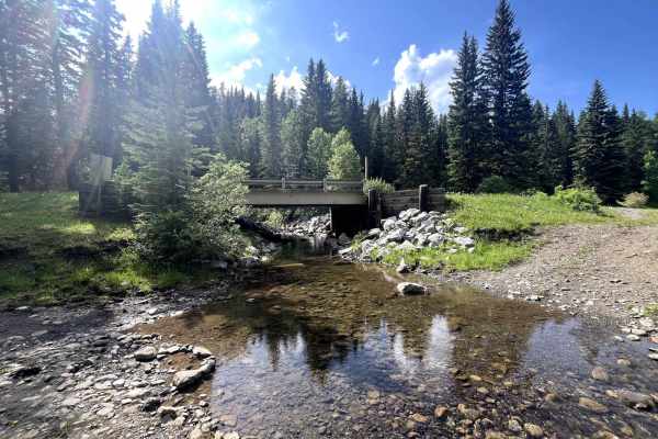 McLean Creek Trail