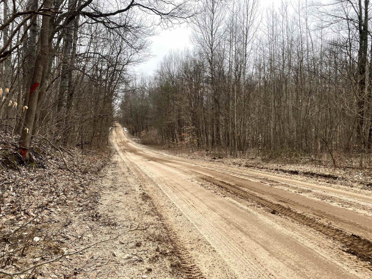 FS 5314 trail photo