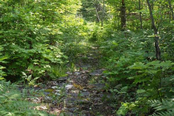 Foreman Lake Motorcycle Trail