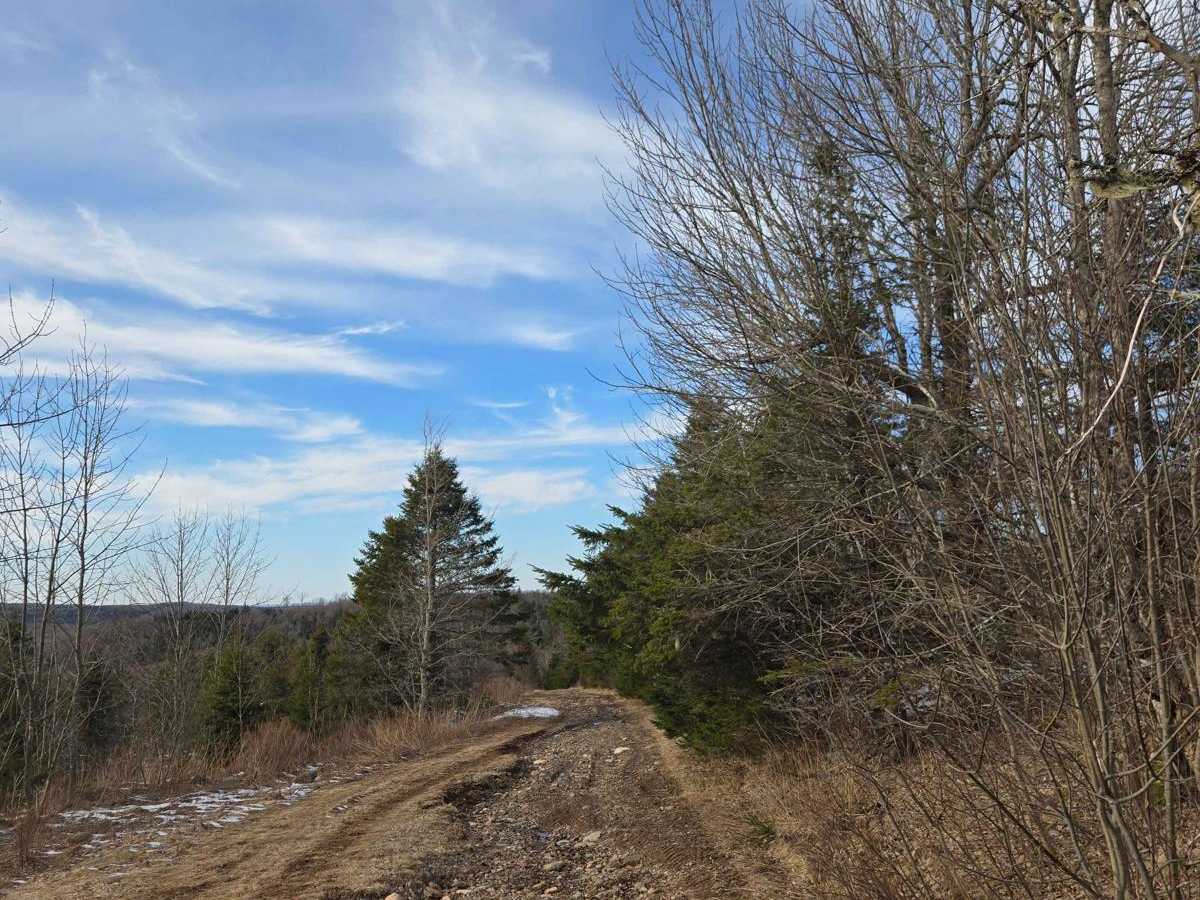 Porter Road photo 5