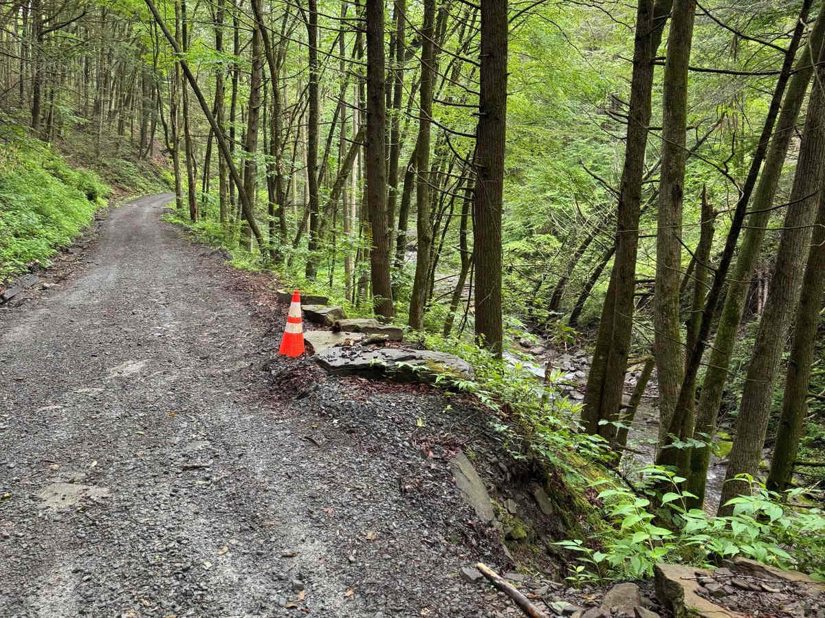 Hoolihan Brook Rd photo 5