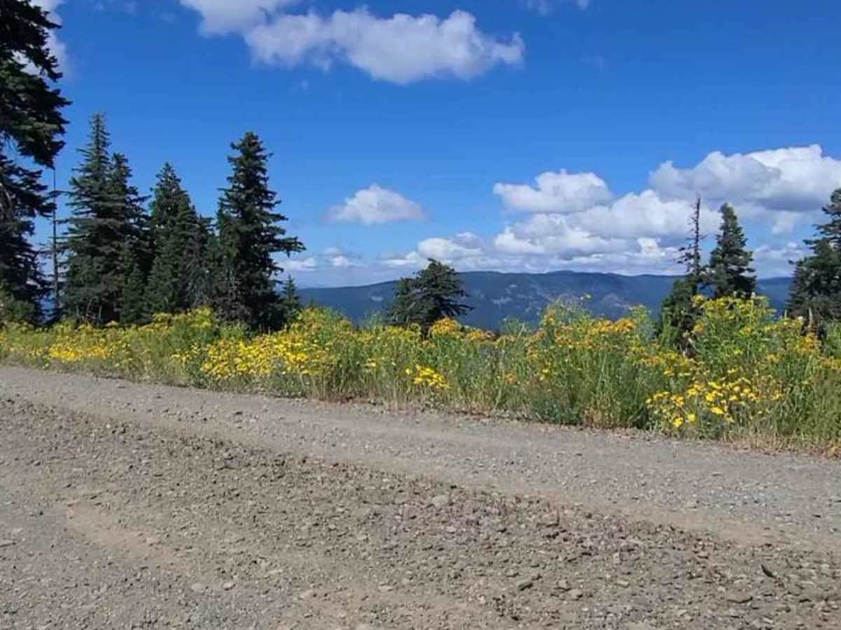 High Divide #5850 trail photo