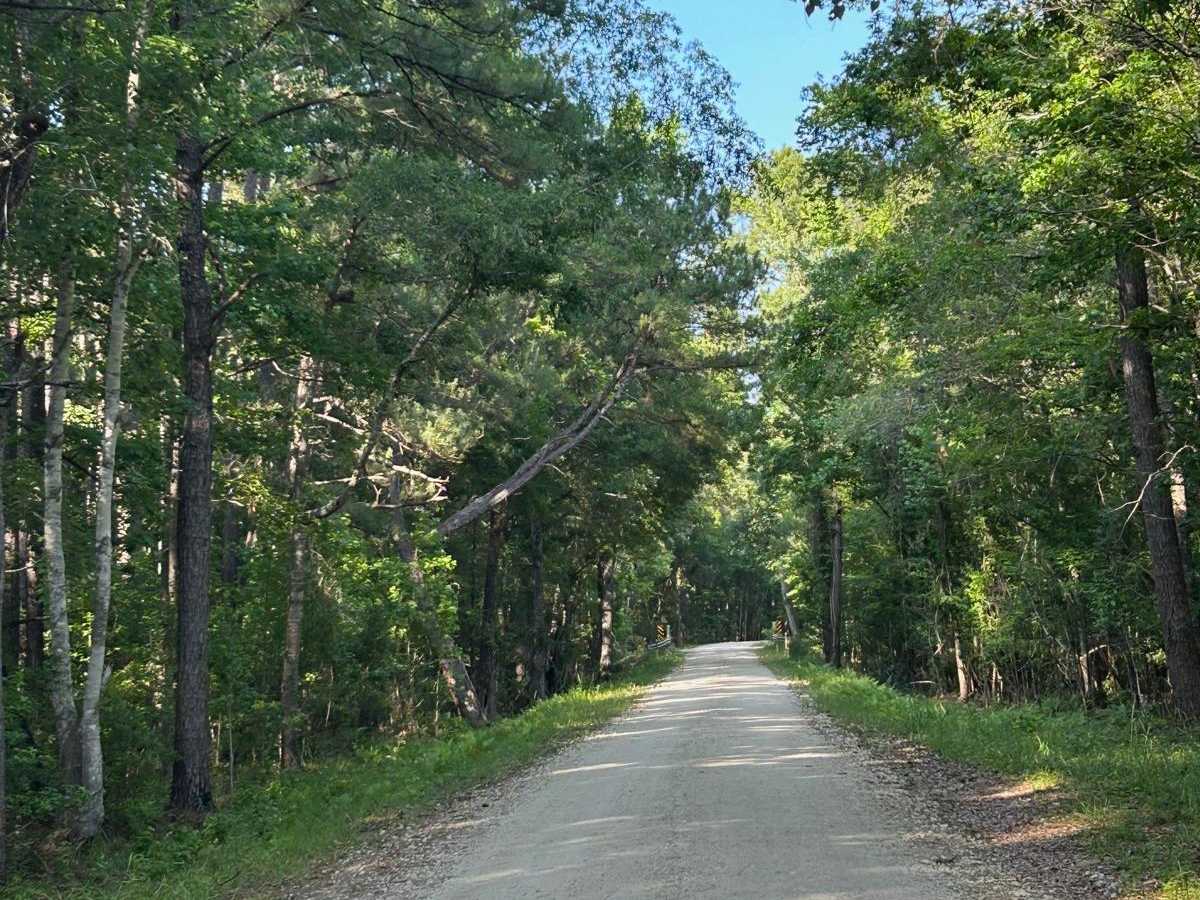 Lethcoe Road Alt - FSR 230A photo 2