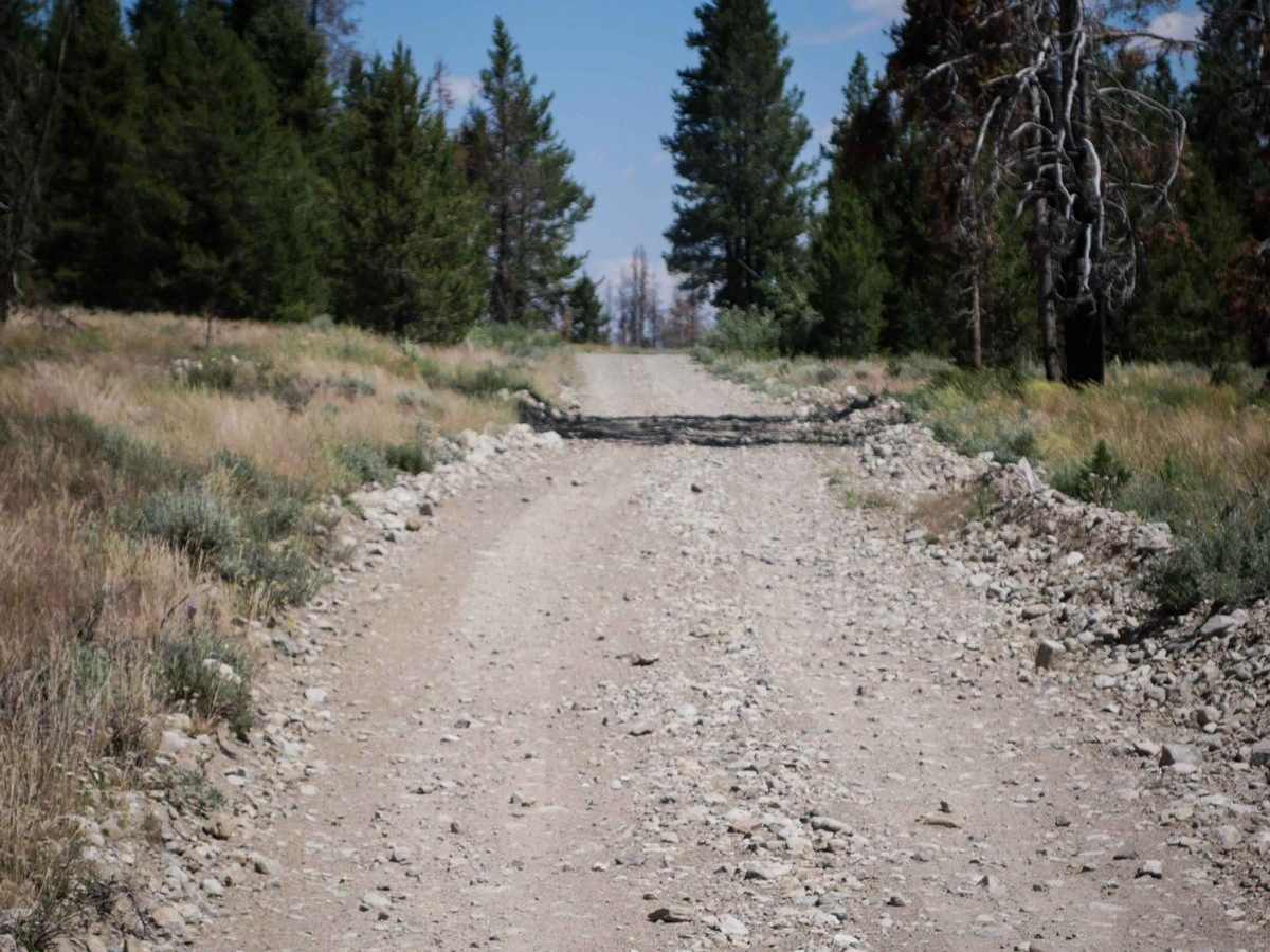 Smiley Creek photo 6