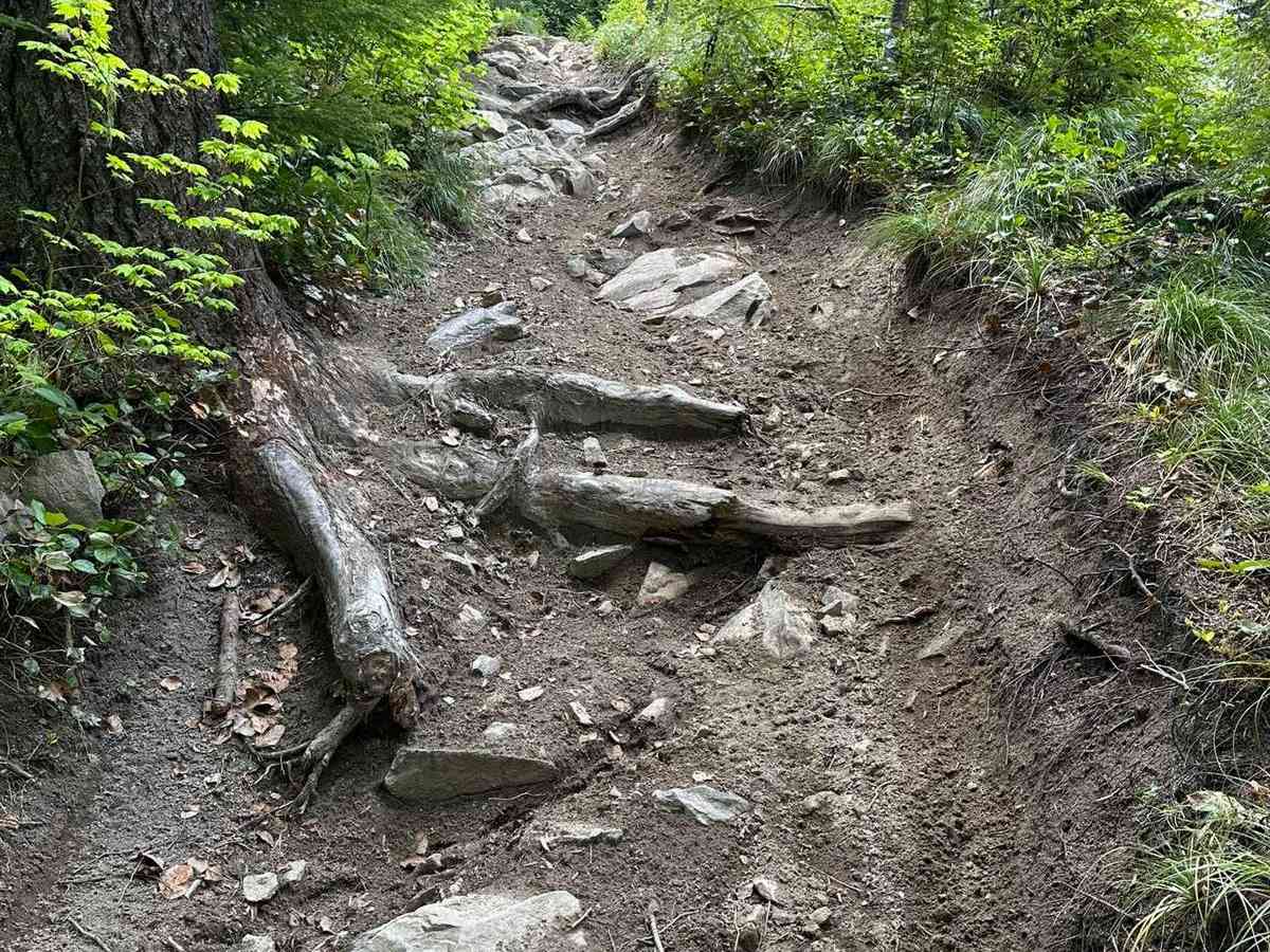 Tongue Mtn trail photo