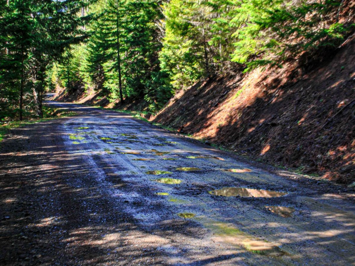 Upper Big Quilcene Trail photo 4