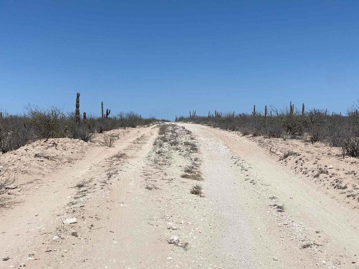 Lomita Amarilla North photo 4