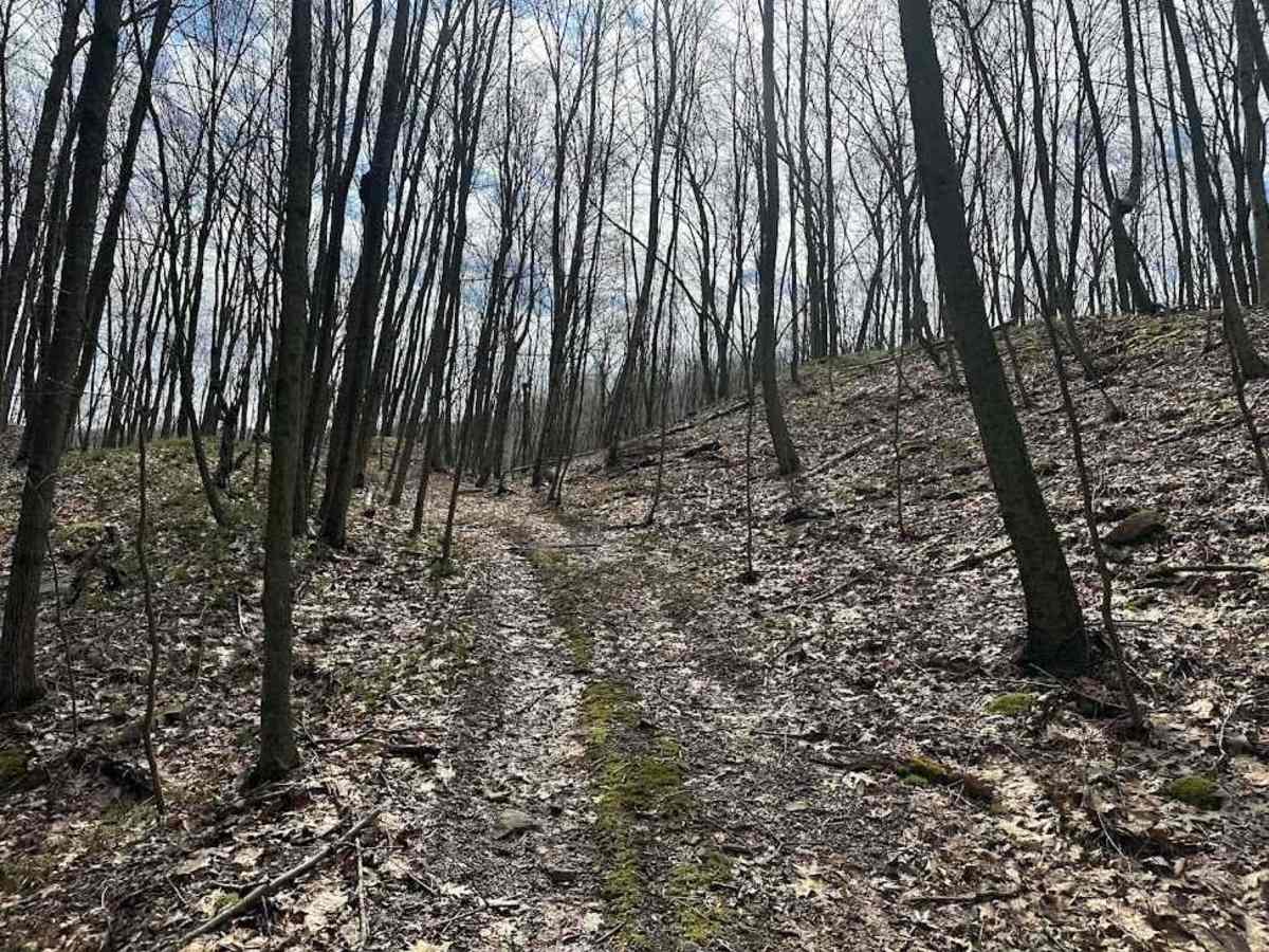 Ashland 113 photo 3