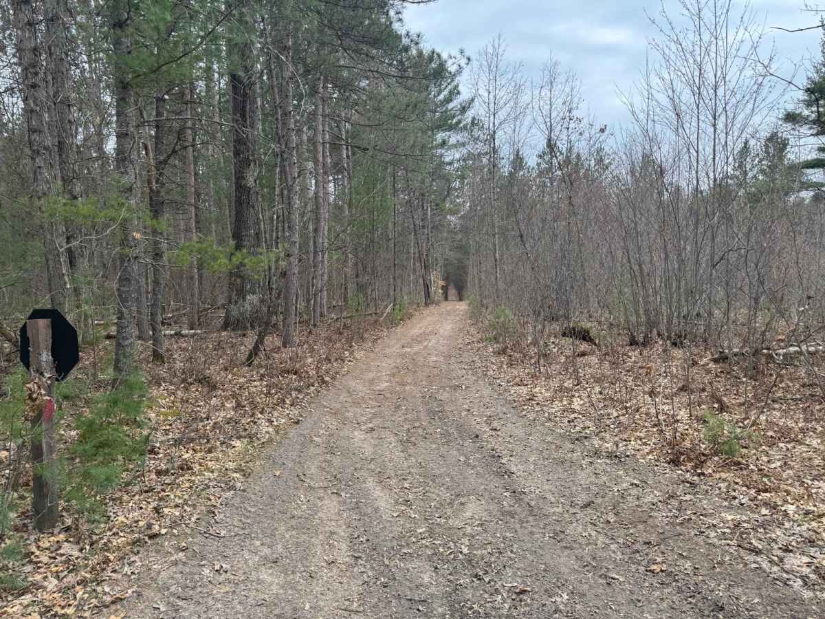 Traverse City ORV Route South photo 4
