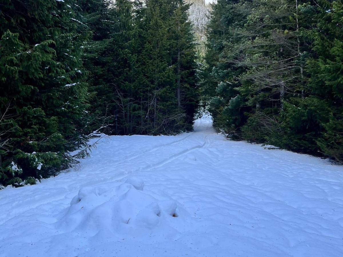 Marshall Lake photo 4