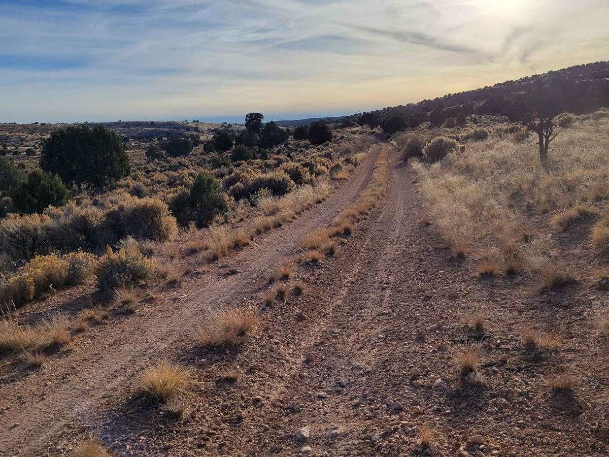 Sullivan Draw Road South - BLM 1040 photo 3