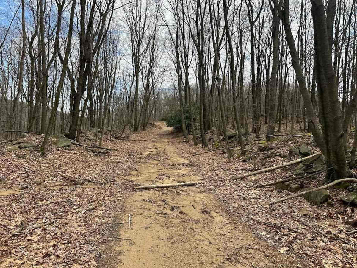 Ashland 133 photo 2