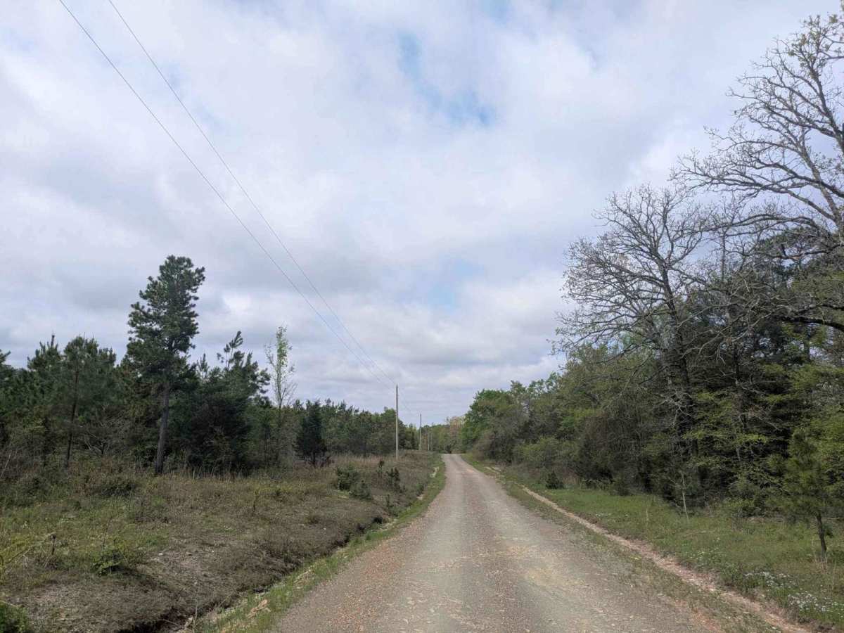 Ouachita National Forest Access Road photo 4
