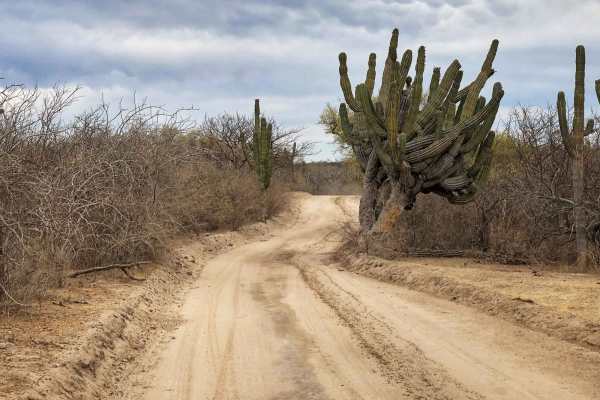 El Canion