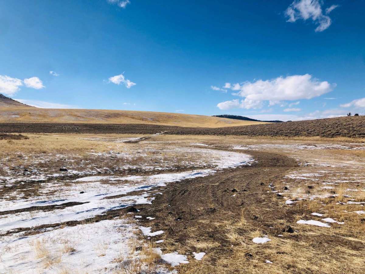 Wild Horse Tank Road photo 5
