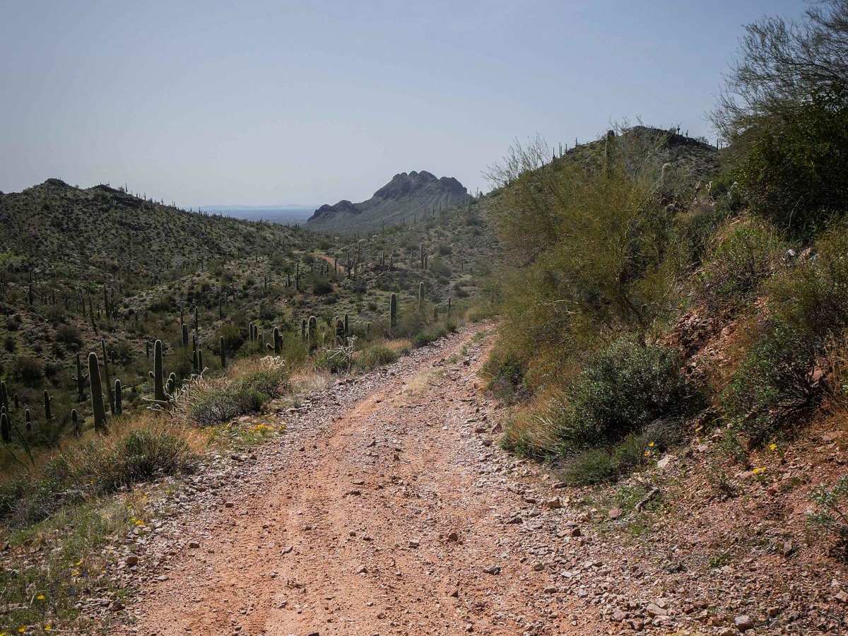 9052 trail photo