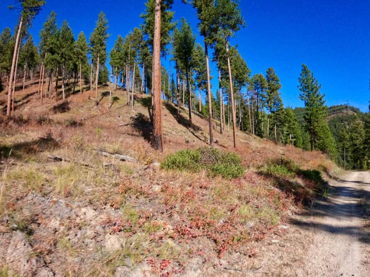 Sloway Gulch Road-Keystone Peak photo 6