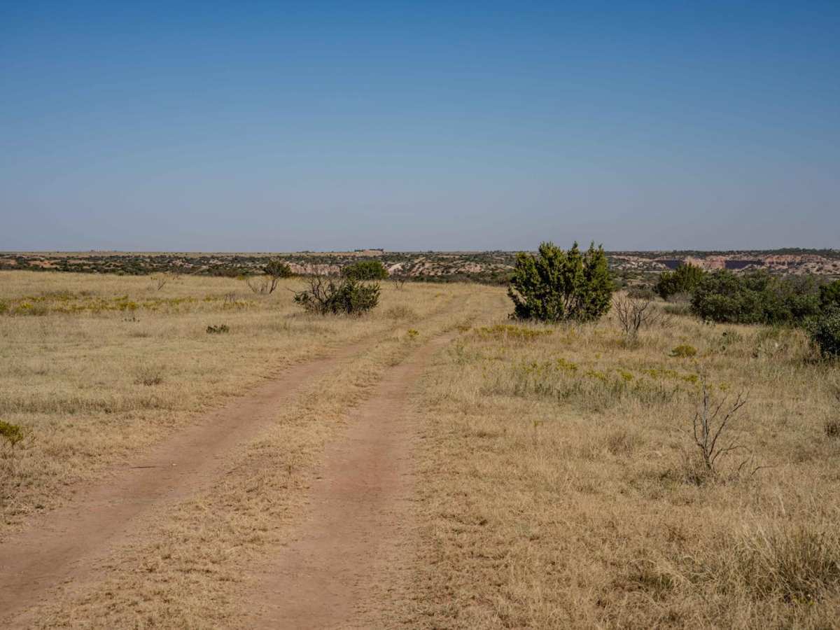 Camp Road West photo 3