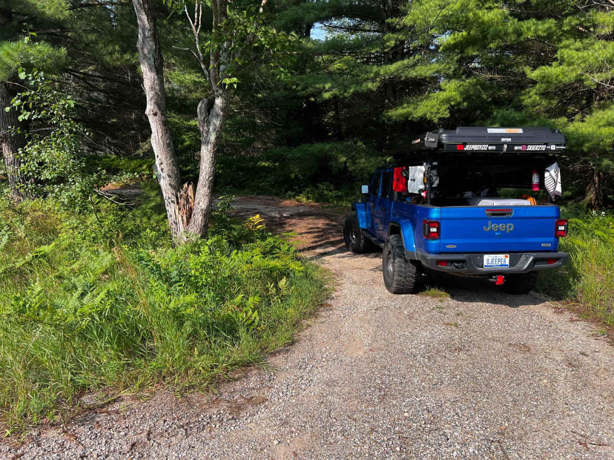 Tree Root Forest Trail photo 2