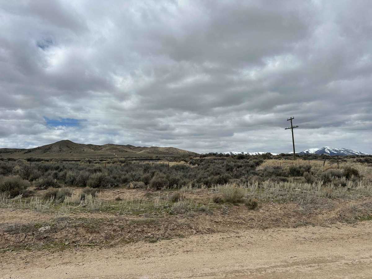 Sagebrush Sprint photo 5
