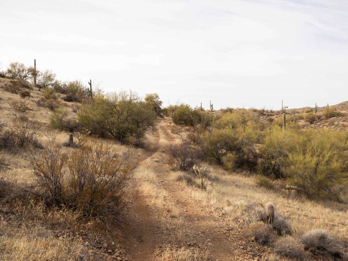 Hilltop to Blocked Canyon photo 3