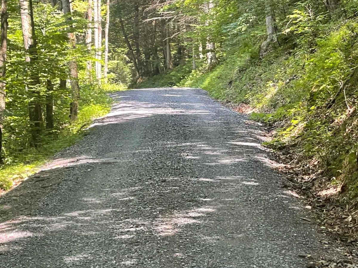 Francis Farm Road photo 4