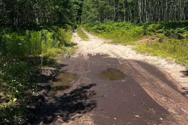 River Camp Trail
