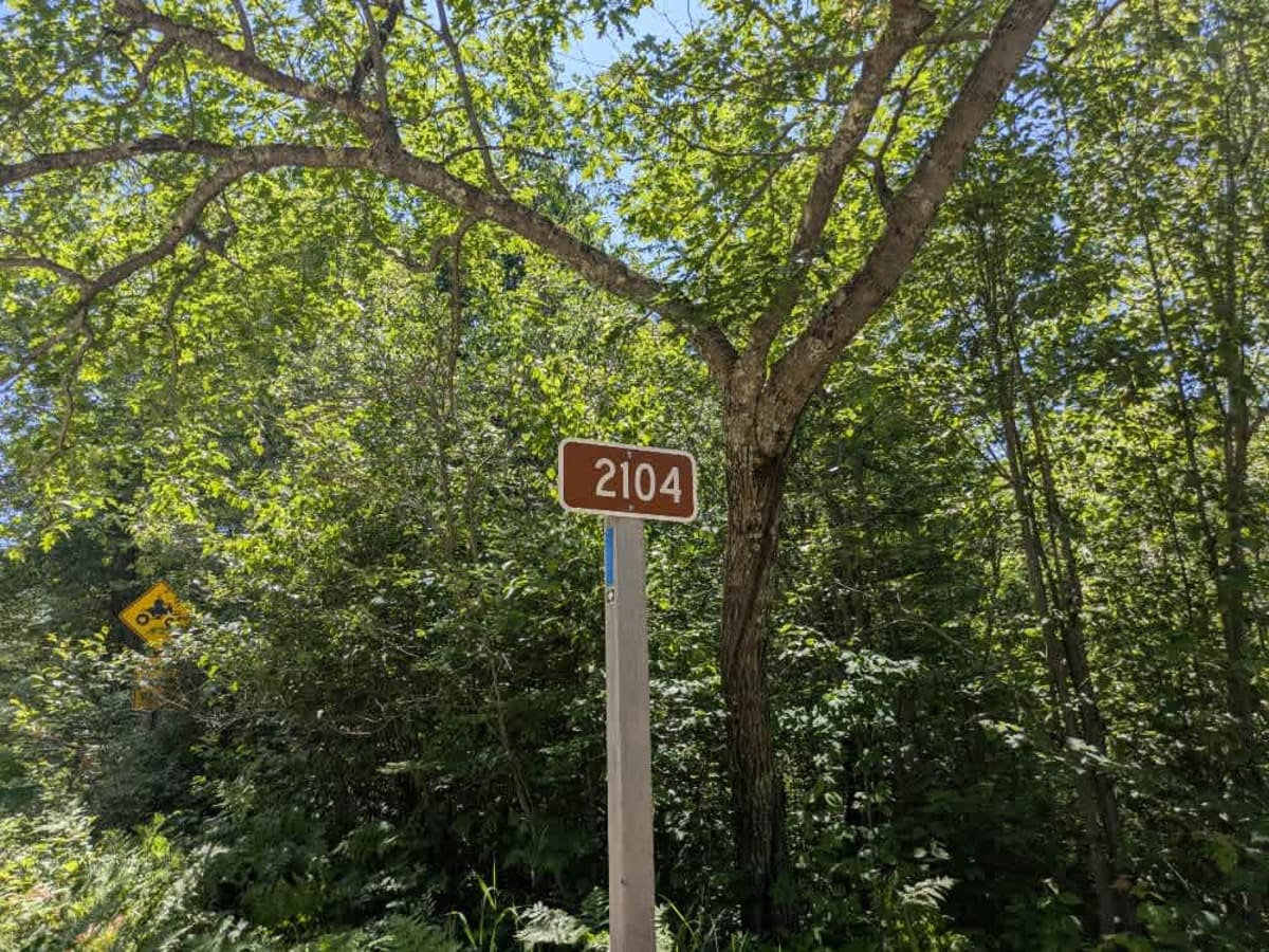 2104 trail photo