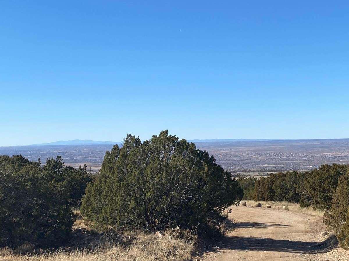 Forest Loop Road 445 photo 4