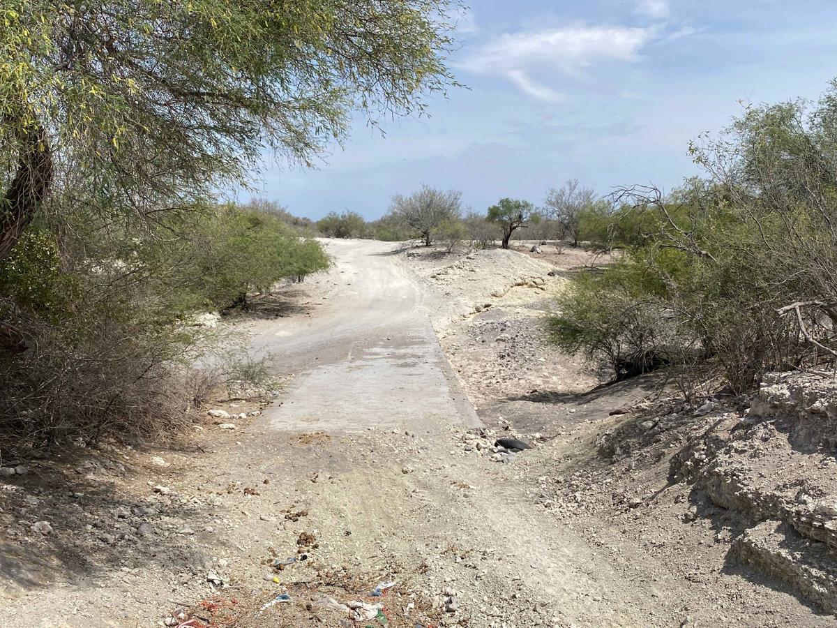 San Jose de la Palmilla photo 2