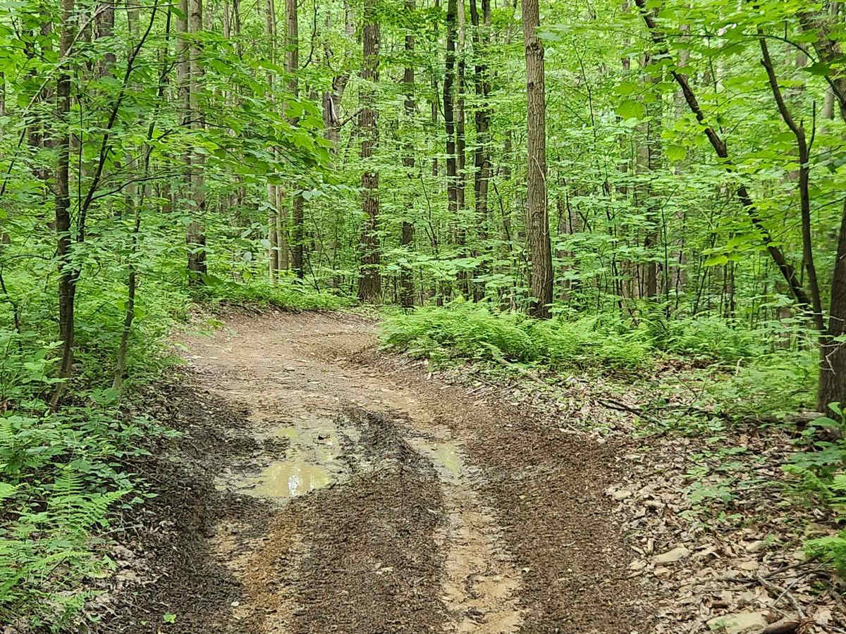 Trail 2 - Black - Rock Run Recreation Area photo 2