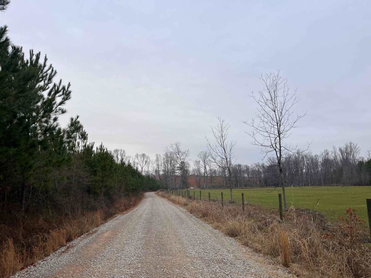 Richland Creek Road photo 4