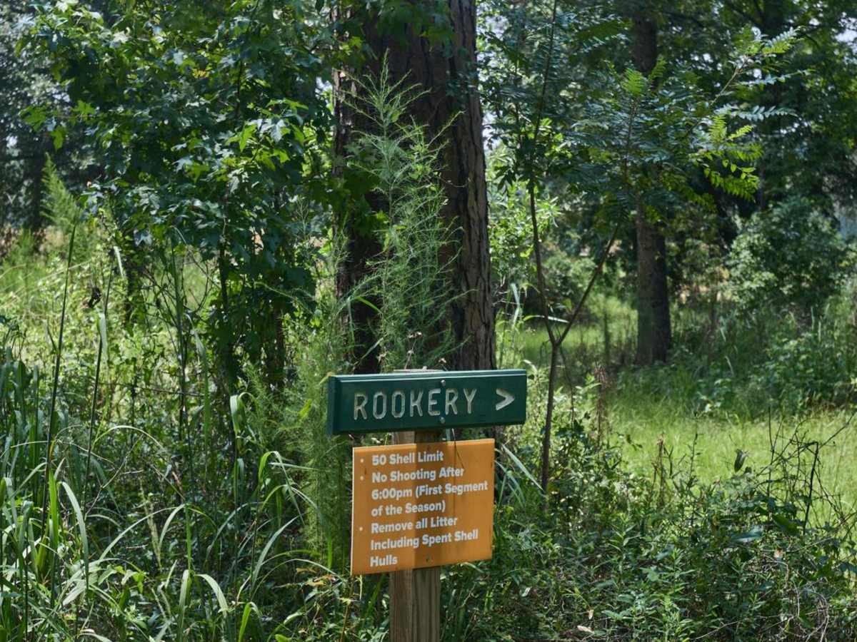 Fish Pond - Rookery Overlook photo 5
