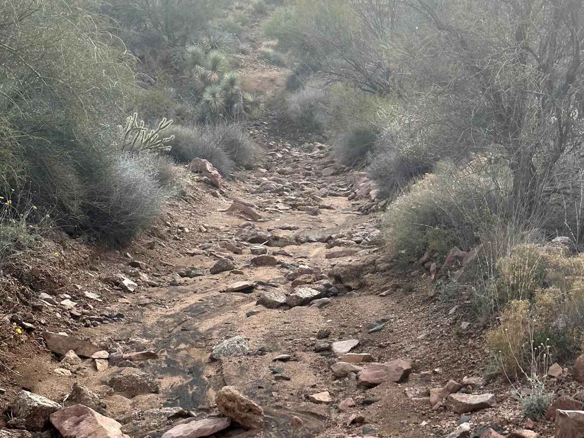 Gold Bug Mine Trail photo 4