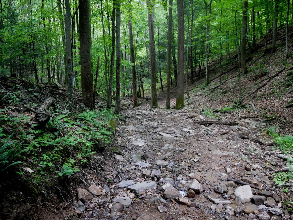 Puke Creek photo 5